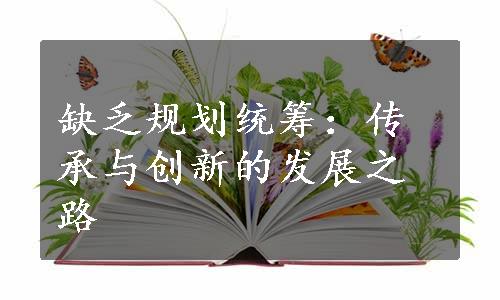 缺乏规划统筹：传承与创新的发展之路