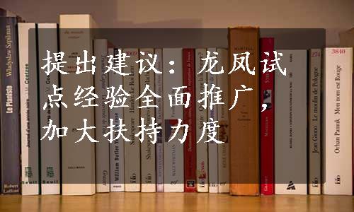 提出建议：龙凤试点经验全面推广，加大扶持力度