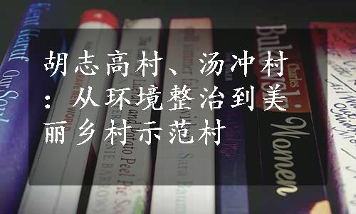 胡志高村、汤冲村：从环境整治到美丽乡村示范村