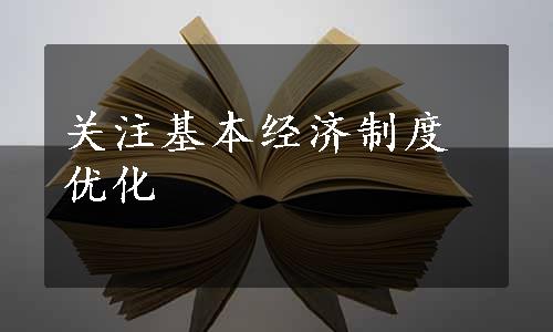 关注基本经济制度优化