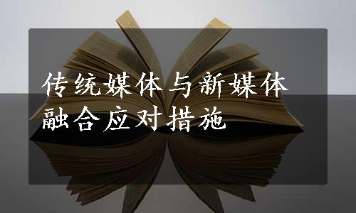 传统媒体与新媒体融合应对措施