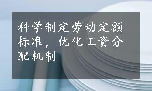 科学制定劳动定额标准，优化工资分配机制