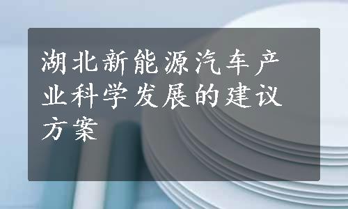 湖北新能源汽车产业科学发展的建议方案