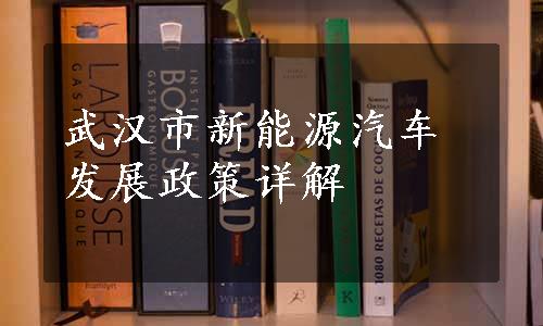 武汉市新能源汽车发展政策详解