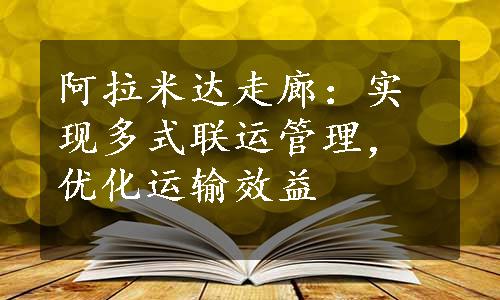 阿拉米达走廊：实现多式联运管理，优化运输效益