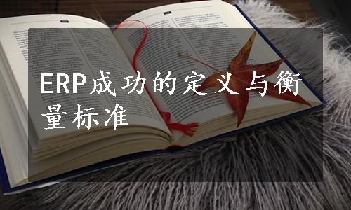 ERP成功的定义与衡量标准