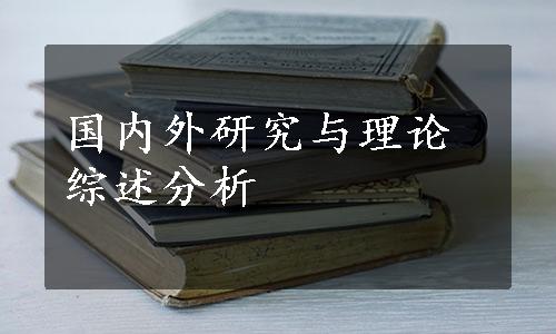 国内外研究与理论综述分析