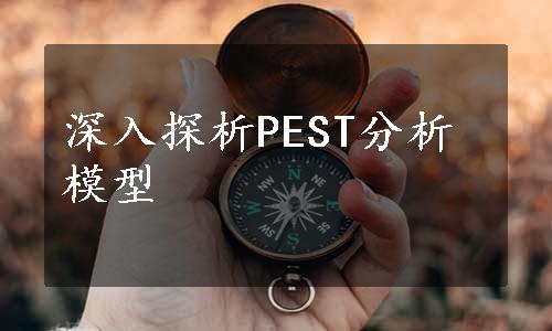 深入探析PEST分析模型