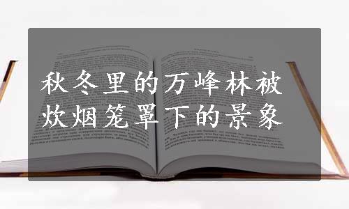 秋冬里的万峰林被炊烟笼罩下的景象