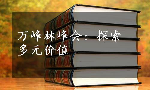 万峰林峰会：探索多元价值