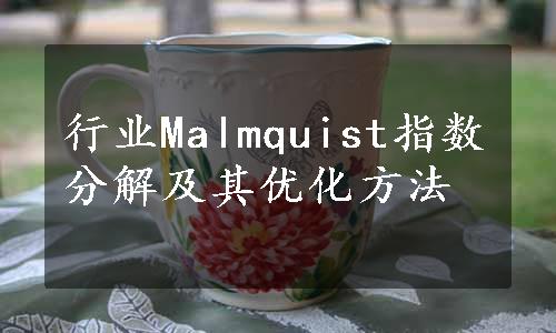 行业Malmquist指数分解及其优化方法