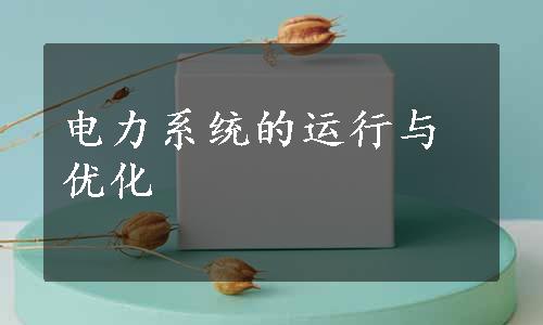 电力系统的运行与优化