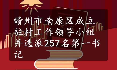 赣州市南康区成立驻村工作领导小组并选派257名第一书记