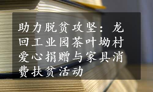 助力脱贫攻坚：龙回工业园茶叶坳村爱心捐赠与家具消费扶贫活动