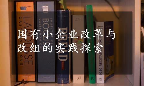 国有小企业改革与改组的实践探索