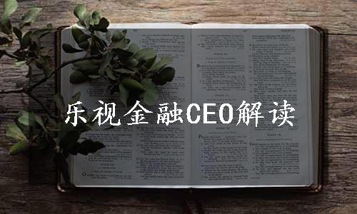 乐视金融CEO解读