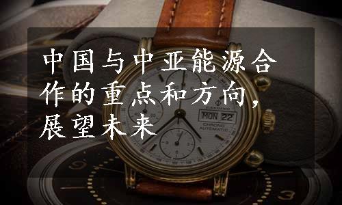 中国与中亚能源合作的重点和方向，展望未来