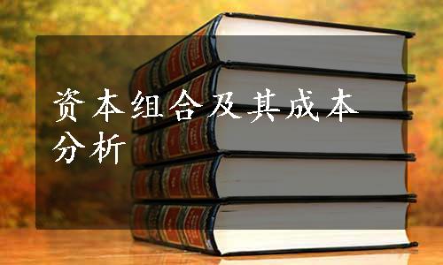 资本组合及其成本分析