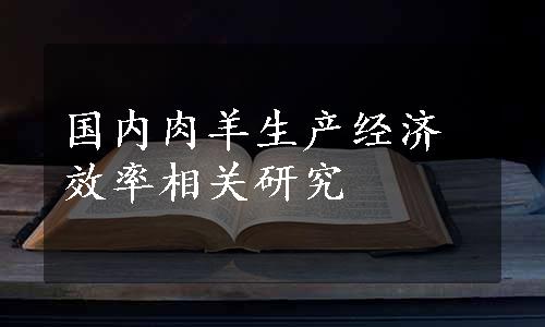 国内肉羊生产经济效率相关研究