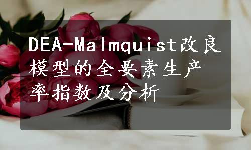 DEA-Malmquist改良模型的全要素生产率指数及分析