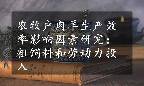 农牧户肉羊生产效率影响因素研究：粗饲料和劳动力投入