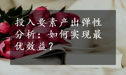 投入要素产出弹性分析：如何实现最优效益？