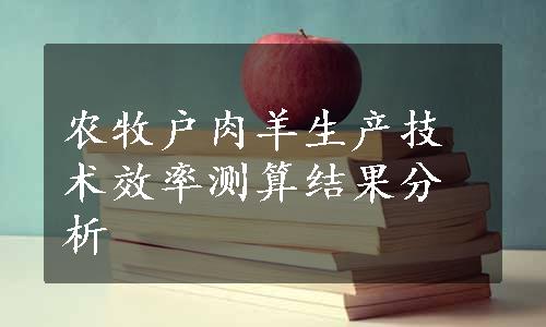 农牧户肉羊生产技术效率测算结果分析