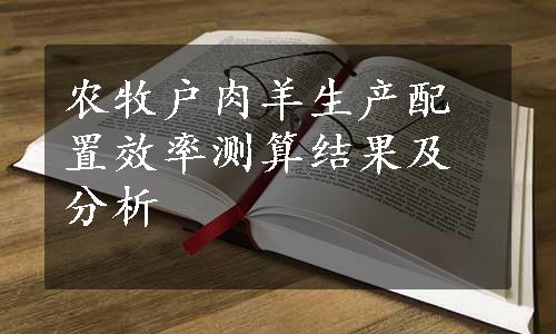 农牧户肉羊生产配置效率测算结果及分析