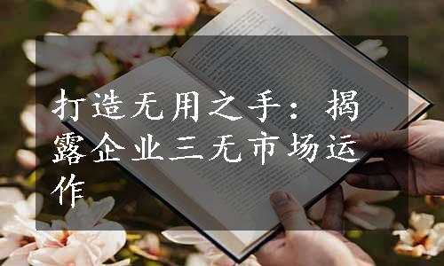 打造无用之手：揭露企业三无市场运作