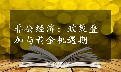 非公经济：政策叠加与黄金机遇期