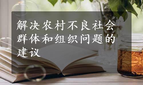 解决农村不良社会群体和组织问题的建议