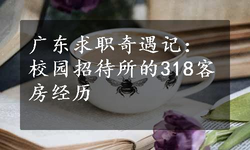 广东求职奇遇记：校园招待所的318客房经历