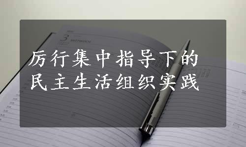 厉行集中指导下的民主生活组织实践