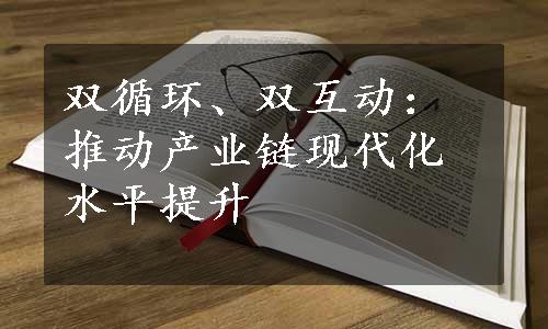 双循环、双互动：推动产业链现代化水平提升