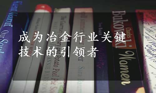 成为冶金行业关键技术的引领者