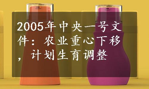 2005年中央一号文件：农业重心下移，计划生育调整