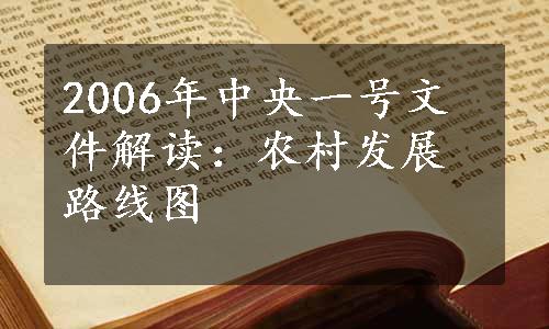 2006年中央一号文件解读：农村发展路线图