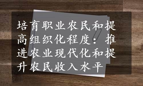 培育职业农民和提高组织化程度：推进农业现代化和提升农民收入水平