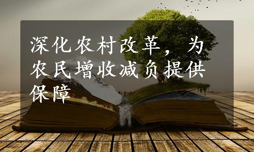 深化农村改革，为农民增收减负提供保障