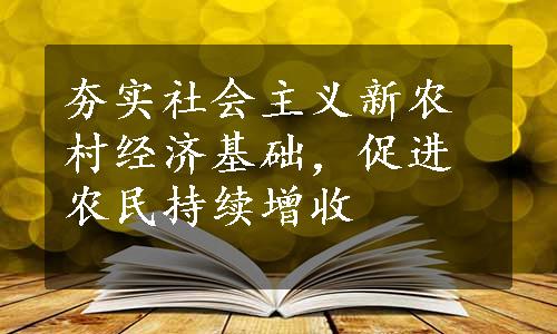 夯实社会主义新农村经济基础，促进农民持续增收