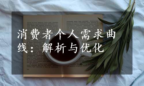 消费者个人需求曲线：解析与优化