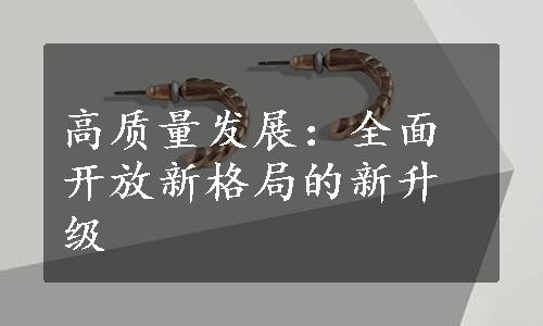 高质量发展：全面开放新格局的新升级