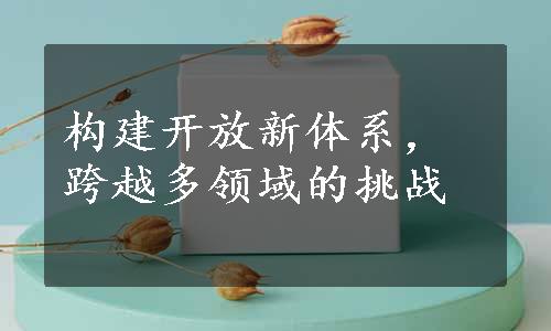 构建开放新体系，跨越多领域的挑战