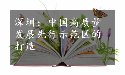 深圳：中国高质量发展先行示范区的打造