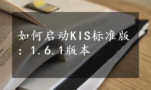 如何启动KIS标准版：1.6.1版本