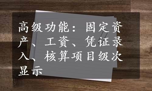 高级功能：固定资产、工资、凭证录入、核算项目级次显示