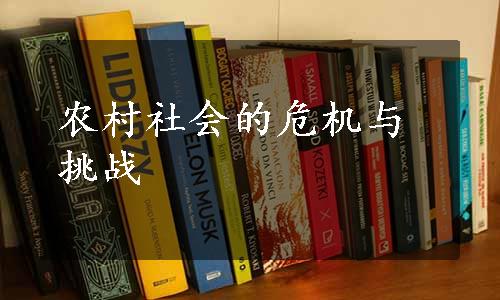 农村社会的危机与挑战