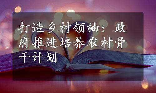 打造乡村领袖：政府推进培养农村骨干计划