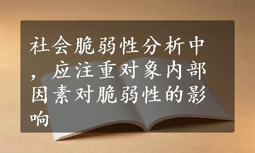 社会脆弱性分析中，应注重对象内部因素对脆弱性的影响