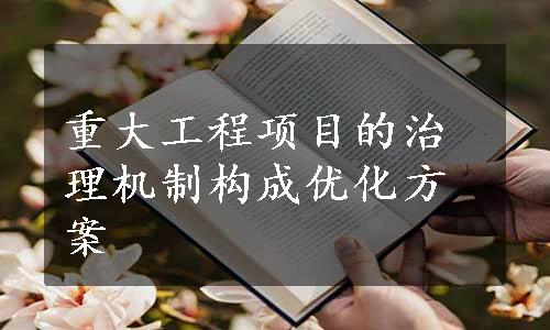 重大工程项目的治理机制构成优化方案